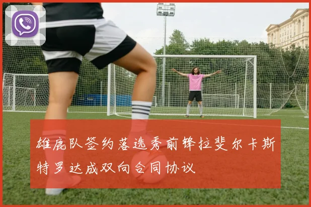 雄鹿队签约落选秀前锋拉斐尔卡斯特罗达成双向合同协议